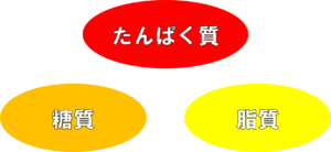 良質なたんぱく質を摂るならこれからの時代は菜食主義者 ベジタリアン ポジティブストレッチ 栄 名古屋駅 今池 四日市のストレッチ専門店