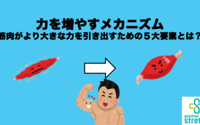 力を増やすメカニズム〜筋肉がより大きな力を引き出すための５大要素とは？〜